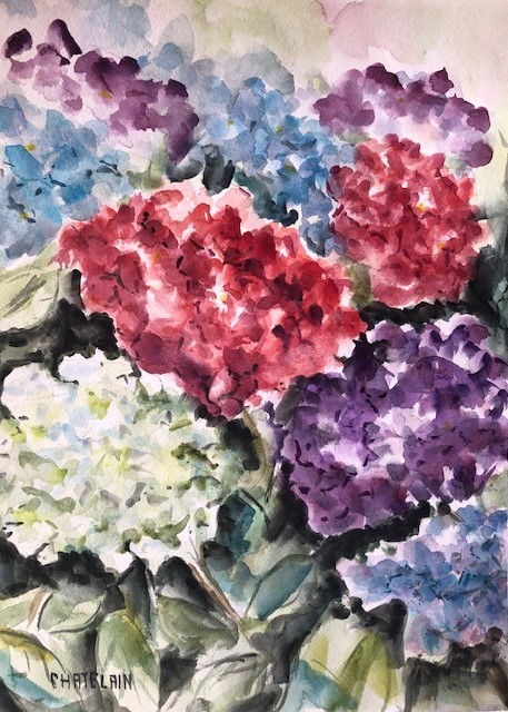 fleurs colorées